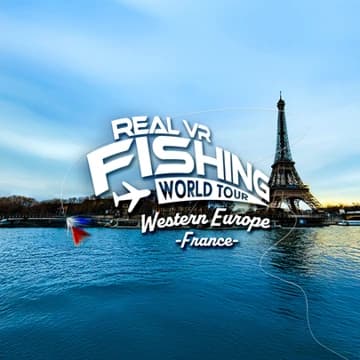О товаре Western Europe - France