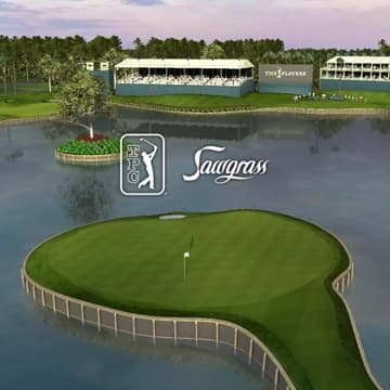 О товаре TPC Sawgrass