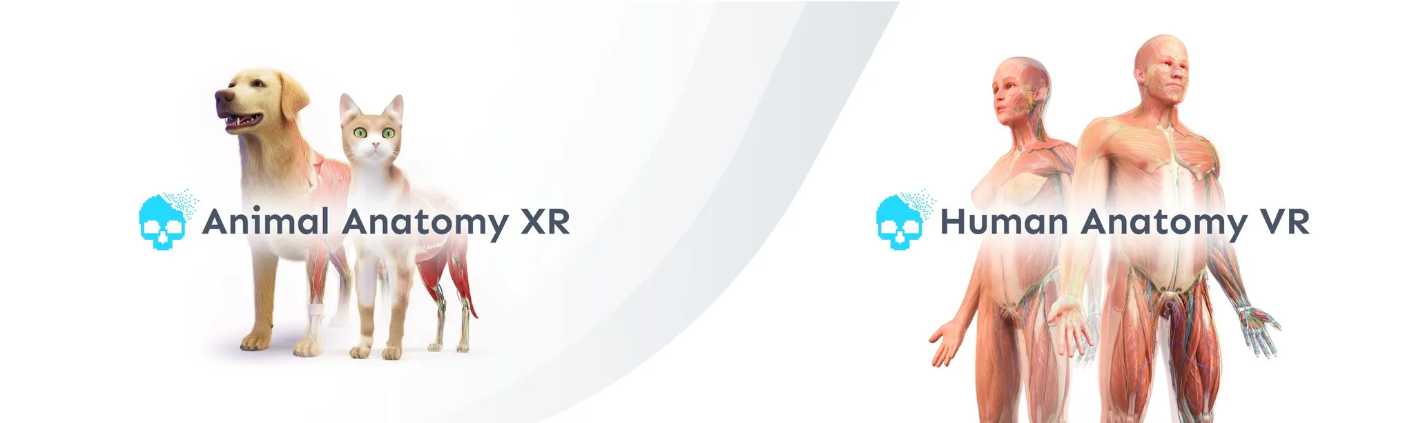 О товаре Anatomy XR Bundle