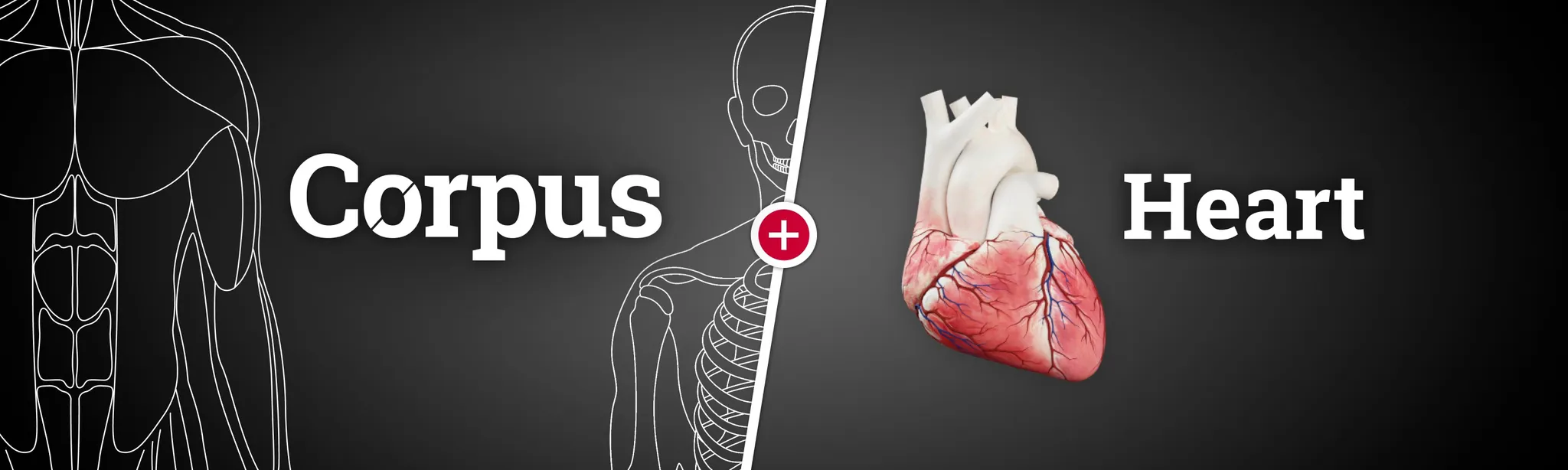 О товаре Corpus Anatomy + Heart