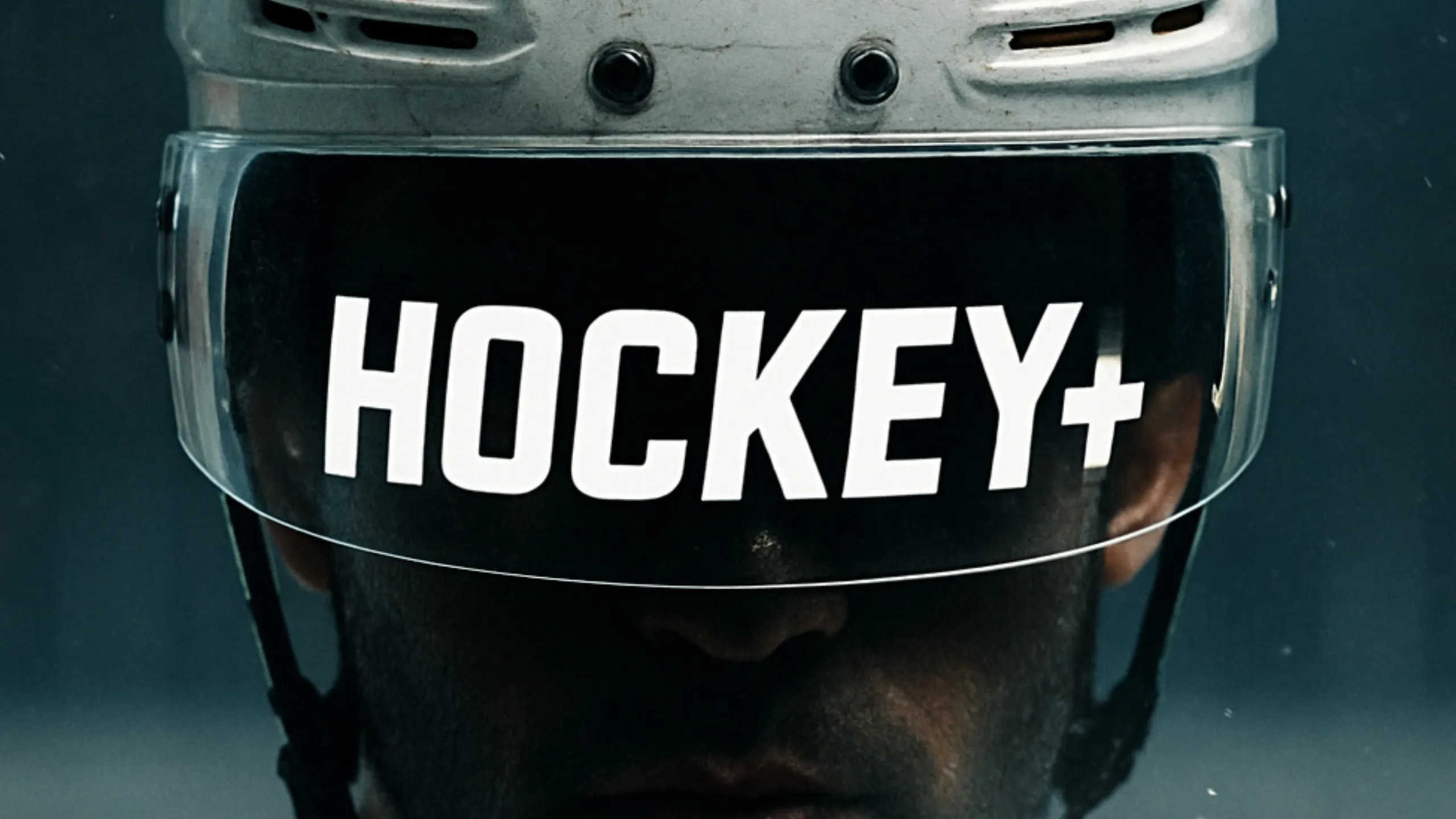 О товаре Hockey+ VR