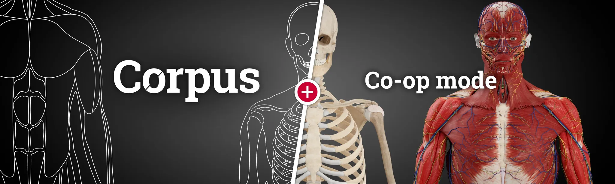 О товаре Corpus Anatomy + Co-op Mode