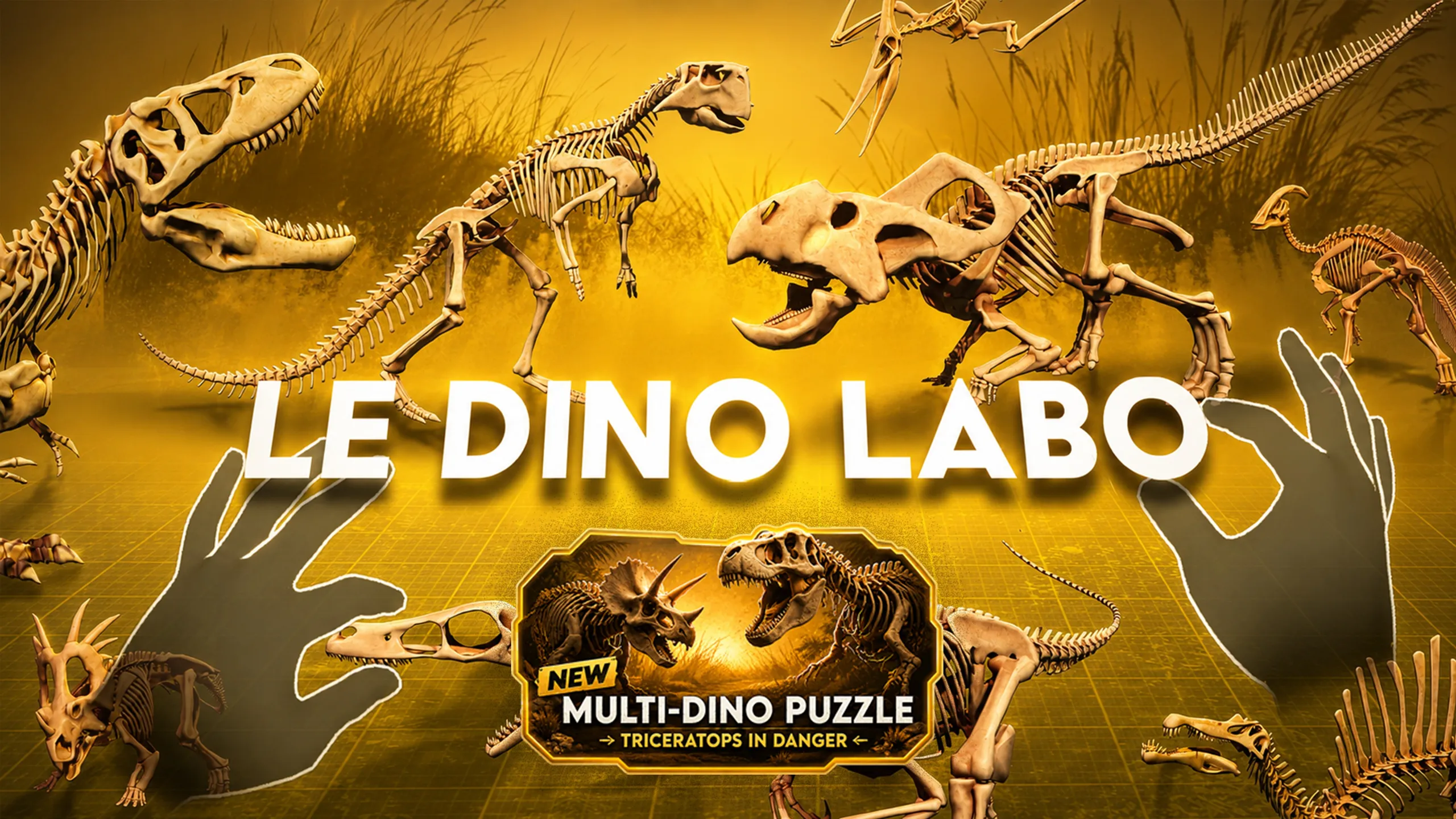 О товаре Le Dino Labo