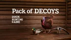 Pack of three Decoys