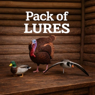 Pack of three Decoys