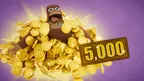Large Currency Pack