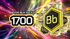 Medium BoomBux Pack