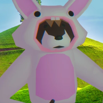 Bunny Bundle