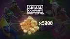 Large Currency Pack