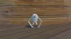 Yeti Body Skin