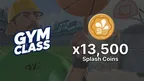 13,500 Splash Coins